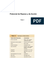 Potencial de Acción 1 - FA PDF