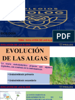 3ºI. Evolución de Las Algas - Guillermo Campó