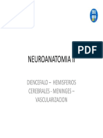 Neuro Anatomia