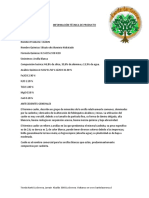 Información Técnica de Caolin PDF