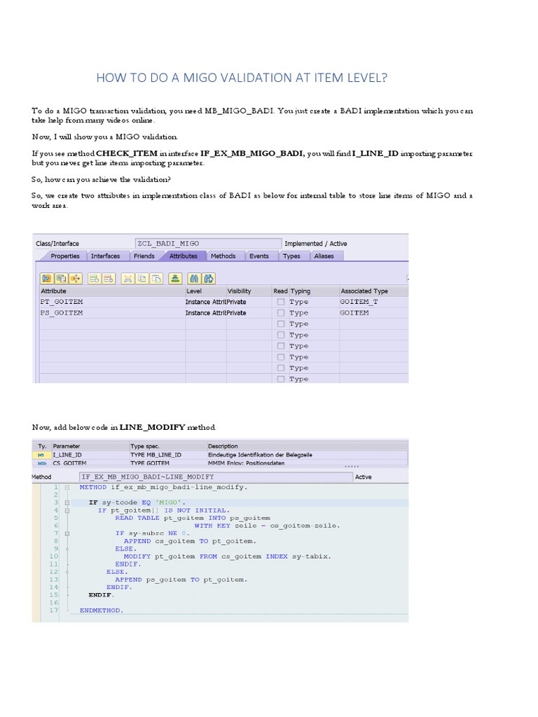 MIGO Item Level Validation Guide | PDF | Computers