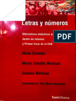 6. Castedo, Molinari y Wolman. Letras y números.pdf