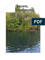 Profil Desa Sonsilo PDF