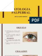 Patologia Palpebral