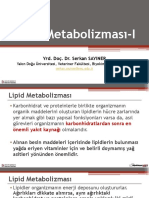 9.lipid Metabolizması I PDF