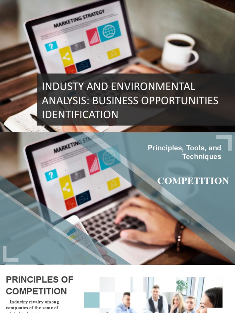 Industry and Environmental Analysis: Identifying Business Opportunities ...