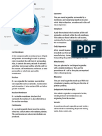 Animal and Plant Cell