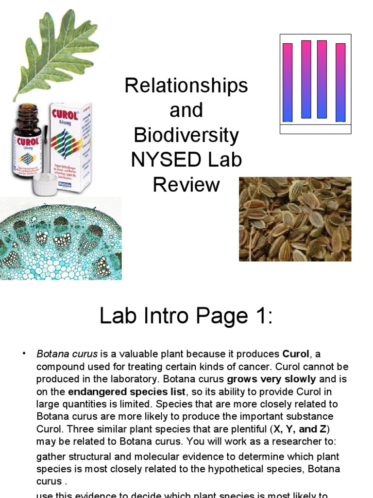 Botana Curus and Curol Source Analysis | PDF | Botany | Chemistry