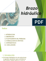 Brazo Hidráulico (Física)