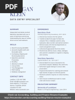 Data Entry Resume Example