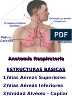 AnatoFisioRespiratoria2[1]