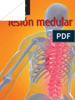 Lesión Medular: Los Fundamentos: Identificación y Tratamiento de La