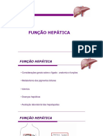 Função Hepática: Anatomia, Metabolismo e Doenças