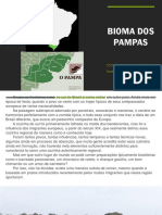 Bioma Dos Pampas