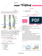 4 - Generalidades de La Columna Vertebral