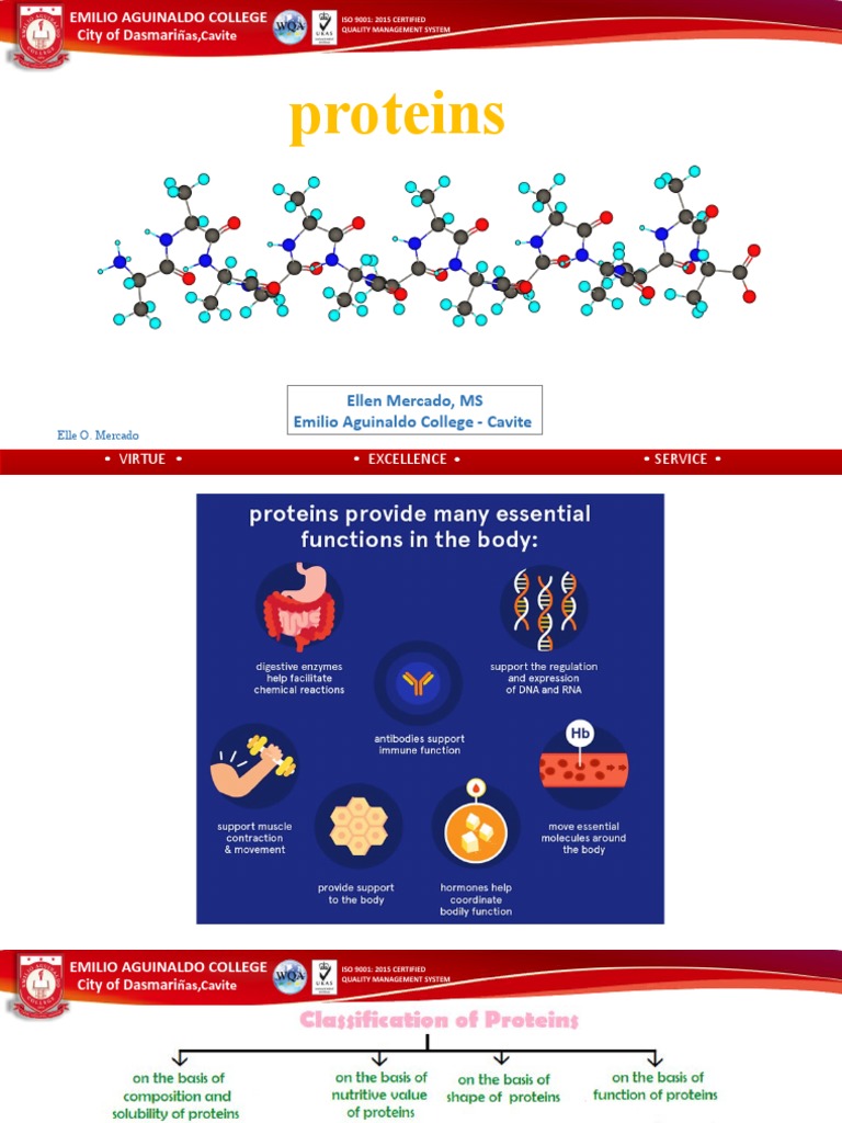 17 Protein Structures & Functions 2023 PDF Amino Acid Proteins