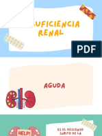 Insuficiencia Renal