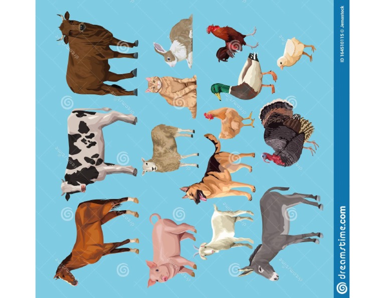 Animales de La Granja | PDF