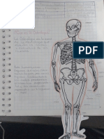 Gutiérrez Hernández Joceline-OSTEOLOGIA