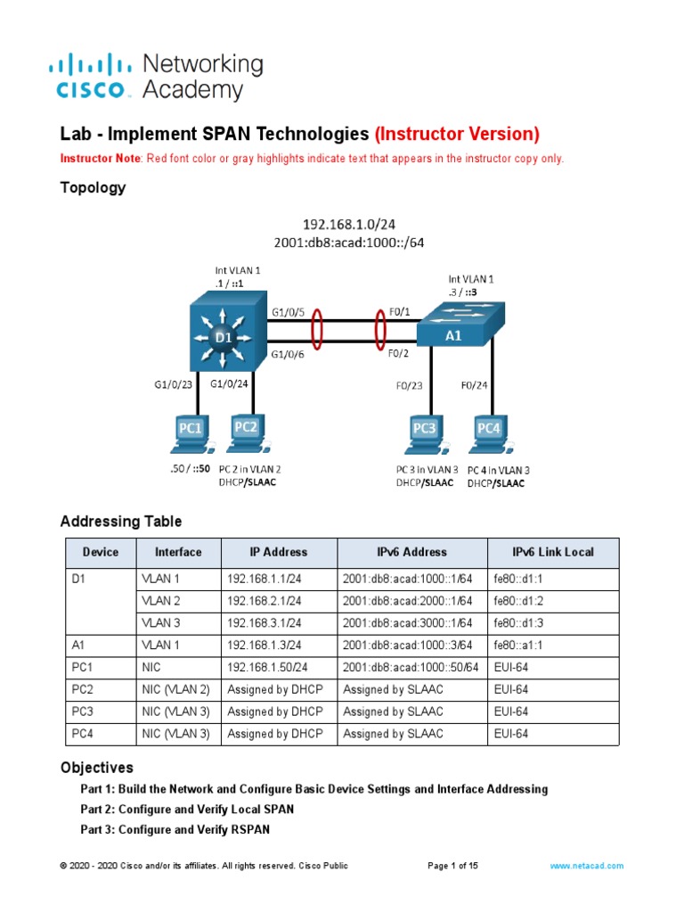SPAN Technologies Lab Setup Guide | PDF | I Pv6 | Ip Address