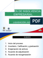 Régimen de Insolvencia Liquidación Judicial - Sergio Arboleda 2021