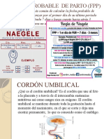 FECHA PROBABLE DE PARTO (FPP) y Cordon Umbilical