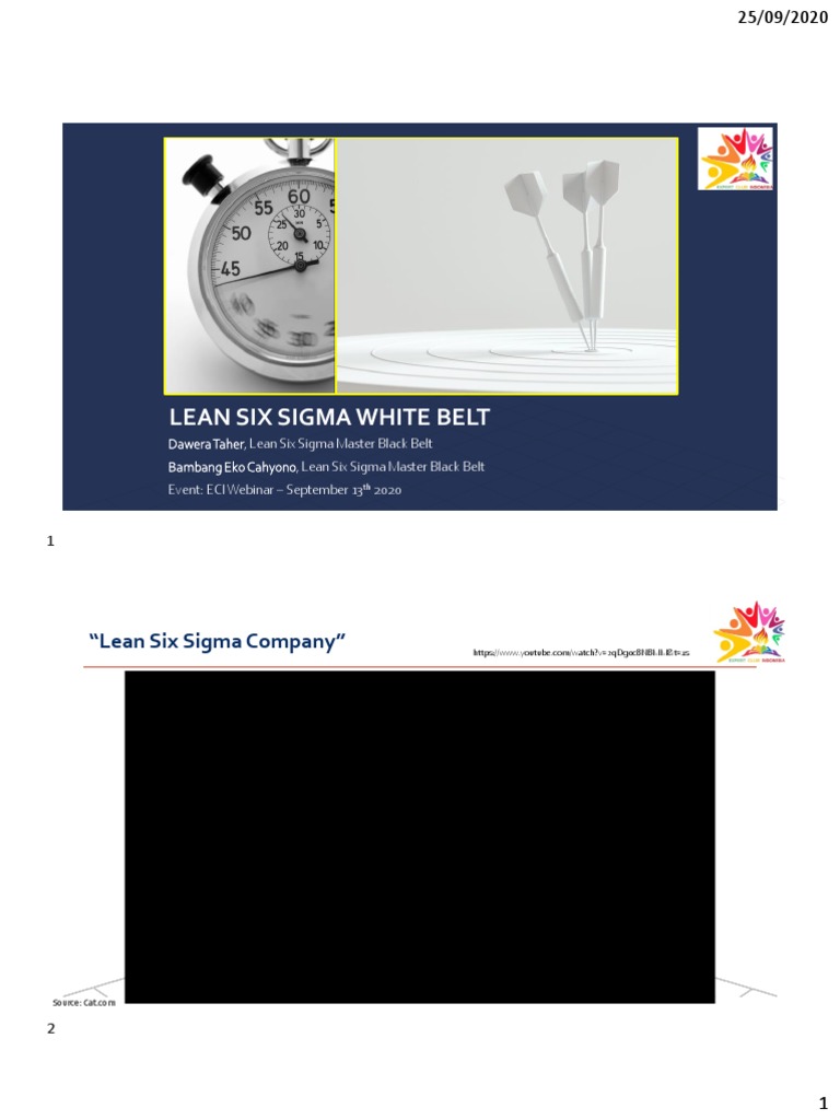 Panduan Lean Six Sigma White Belt | PDF