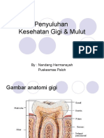 Penyuluhan Karies