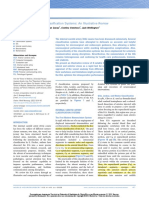 Segmentos Ica 2022 PDF