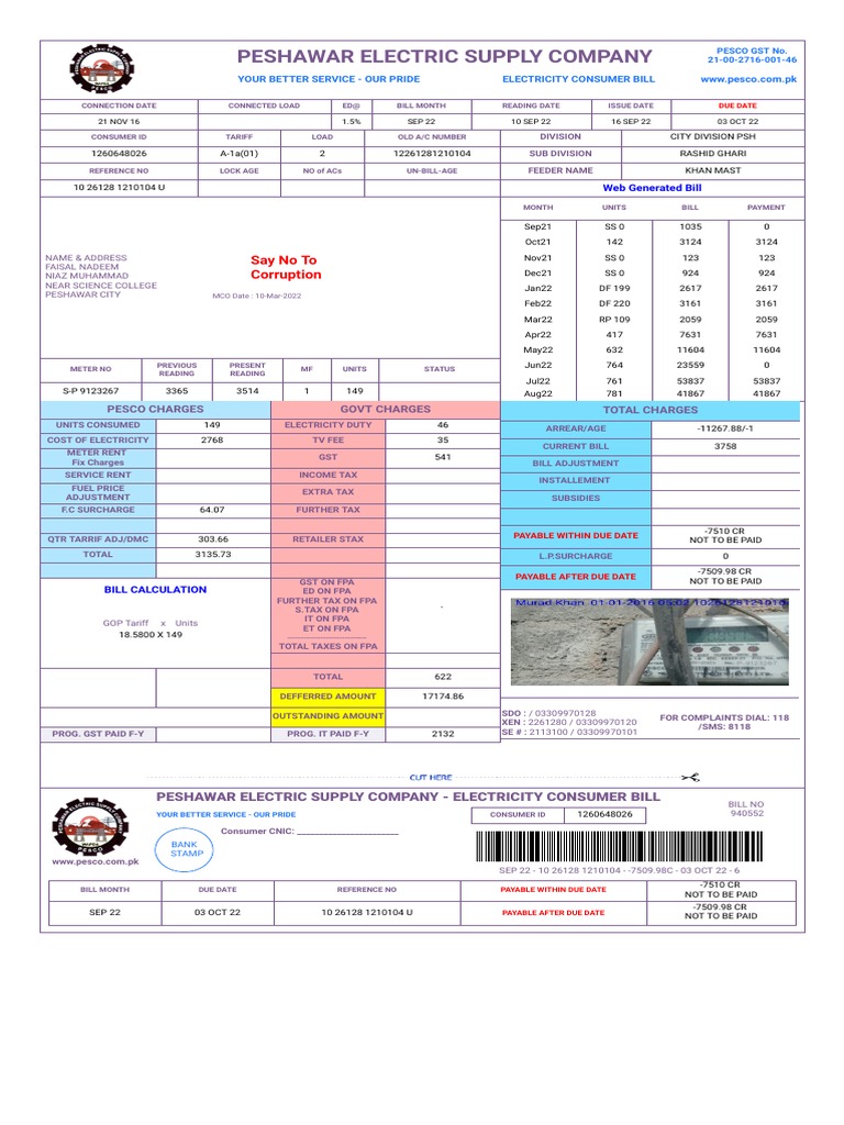 Pesco online bill pdf taxes market economics 
