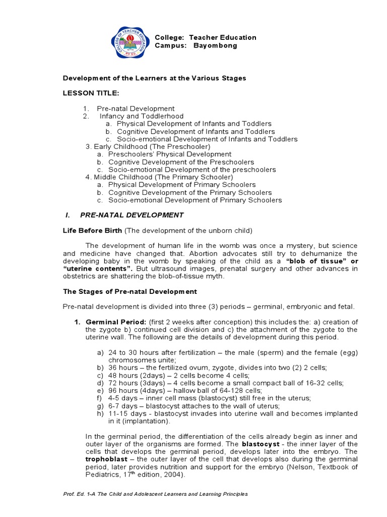 Development Of The Learners At The Various Stages Pdf Embryo