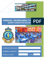 Prueba Ecr Diagnostica Cta 5to Secundaria