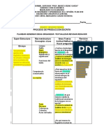 Pauta Ensayo Enfoque Comunicativo