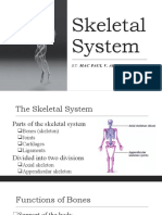 Skeletal System: Bones, Joints and Their Functions
