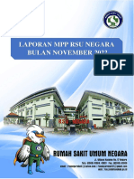 Lapran MPP-November