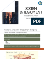 Anfisman (Sistem Intugument) PDF