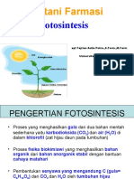 Bahan Ajar 6 Fotosintesis