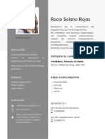 CV Rocio Solano Rojas