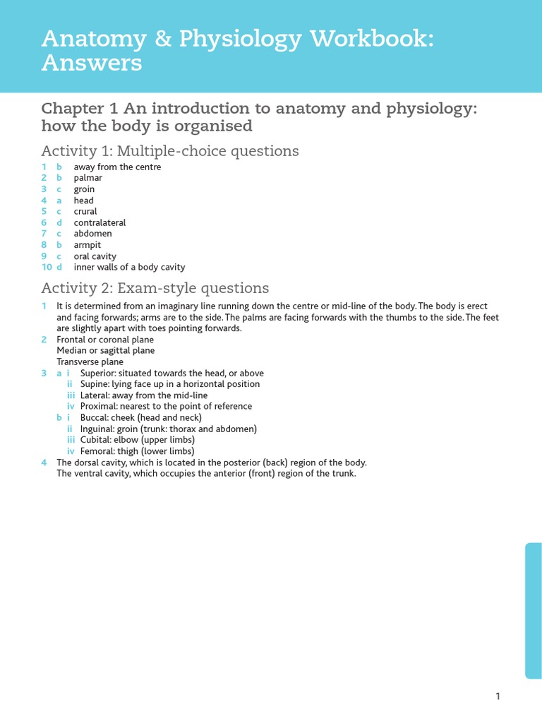 Workbook Answers Pdf Pdf Heart Heart Valve