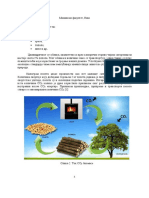 Dipl22 PDF
