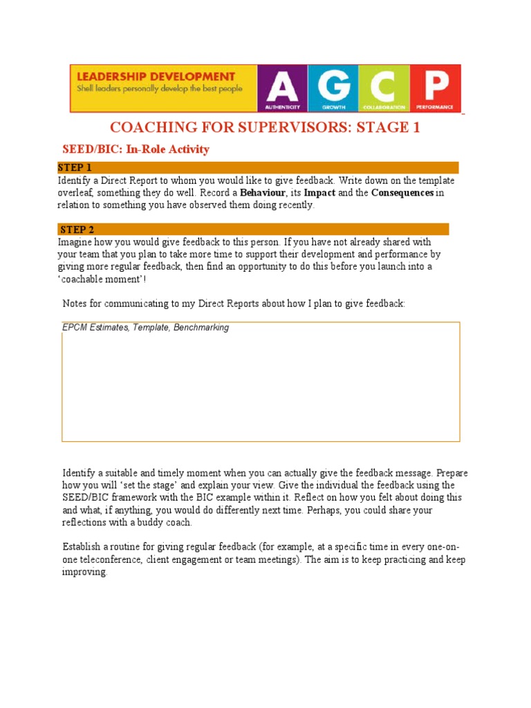 SEED/BIC Feedback Framework Guide | PDF | Benchmarking | Psychological ...