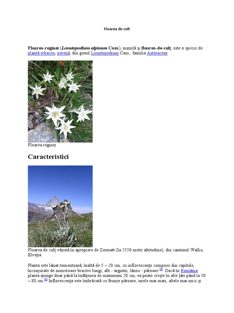 Floarea de Colt | PDF