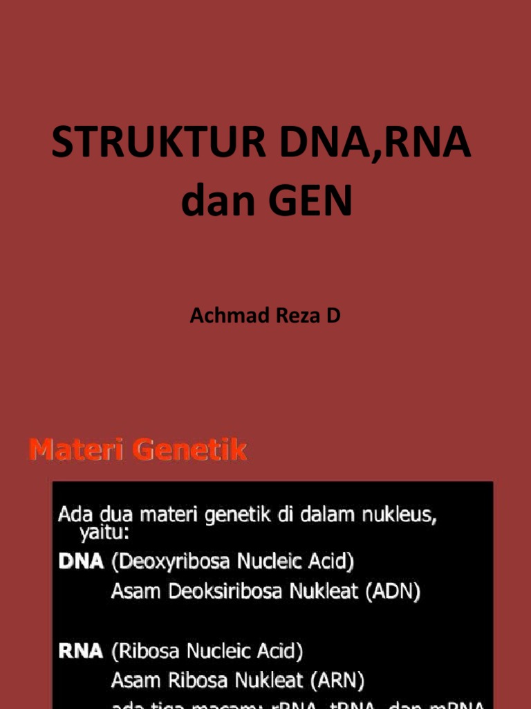 Struktur dan Fungsi DNA, RNA, Gen | PDF | Sains & Matematika