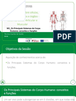 Sistemas Osteo-Articular e Muscular