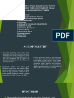 Effect of Plum Pronus Domestica and Peach Prunus Persica On Soybean