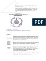 Matriz de Marco Logico