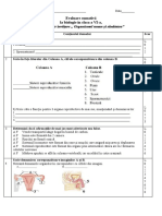 Evaluare Org. Uman Și Sanatatea Cl. VI