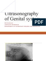 Ultrasonography of Genital System: Dr.B.Sail Aja Assistantprofessor Departmentofveterinarysurgeryandradiology