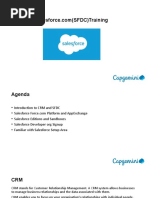 Salesforce Training - Basics