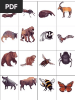 Animal Picture Flashcards